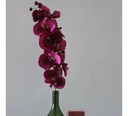 Perfume De Mujer Natura Biografia Caminhas 100 Ml